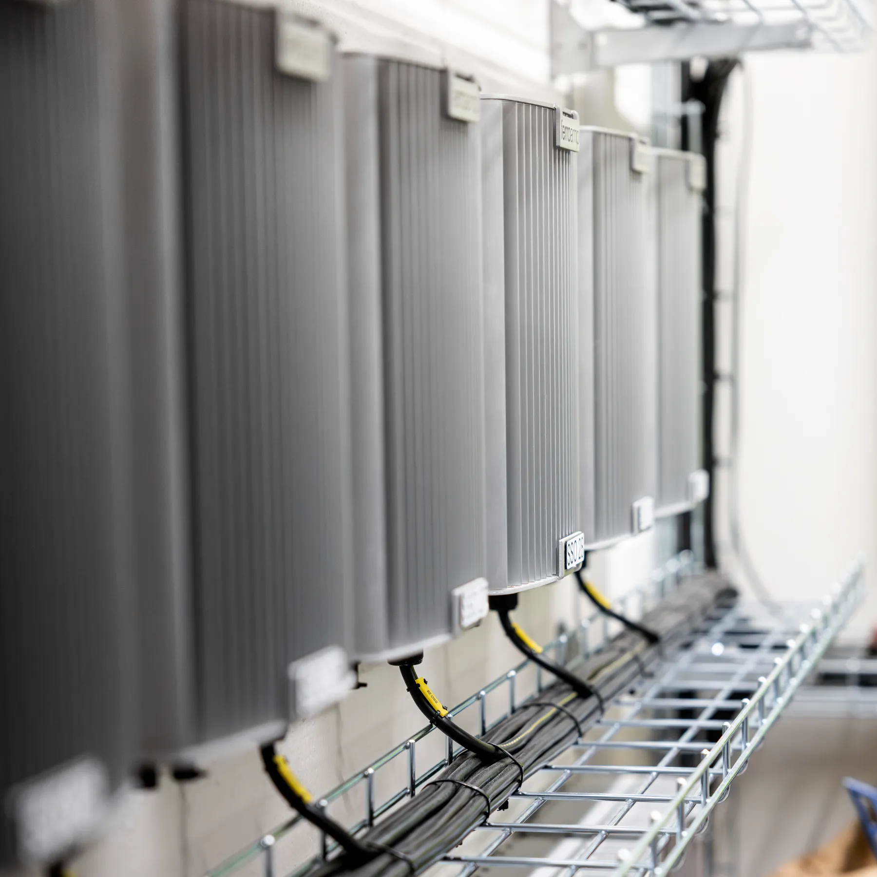 R5II1533-Enhanced-NR